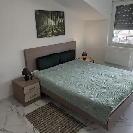 Cera Maximus سوكو بانيا