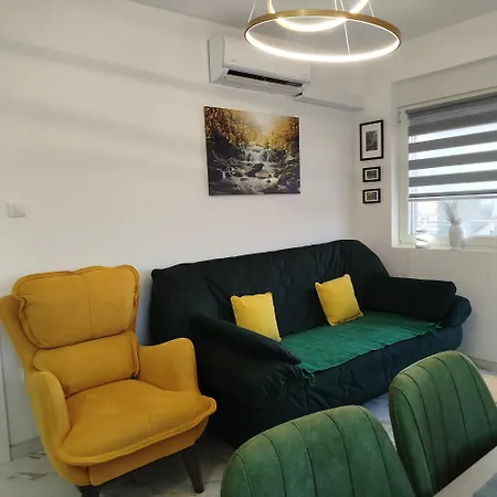 Cera Maximus * 소코 반자