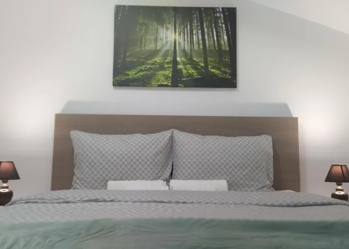 아파트 Cera Maximus 소코 반자