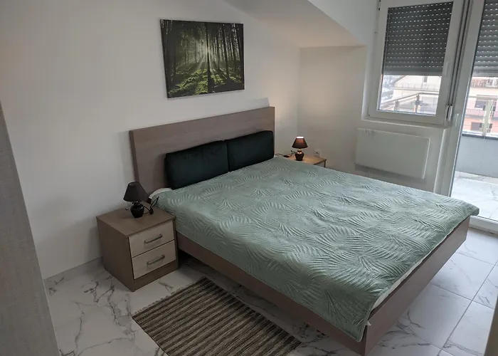 Cera Maximus 소코 반자